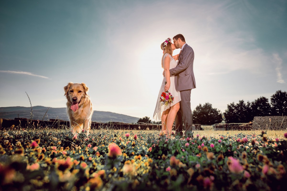 Cei mai haiosi catei surprinsi in 20 de imagini semnate de fotografii de nunta din Romania